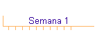 Semana 1